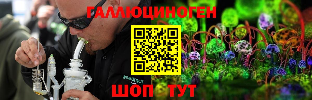 Галлюциногенные грибы прущие грибы Татарск